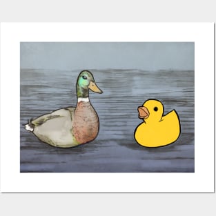 ducks Posters and Art